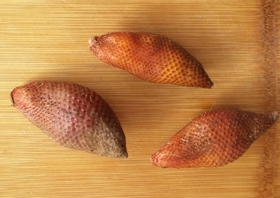 snakefruit1