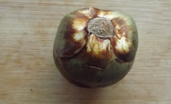 palmfruit1